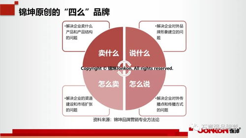 科技行业第一品牌的顶层设计与底层运营 市场营销策划的全景路径